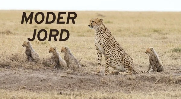 Moder Jord