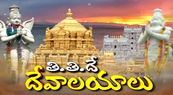 எஸ்.டி. சேவா - ஜி.டி. - திருப்பதி லைவ்