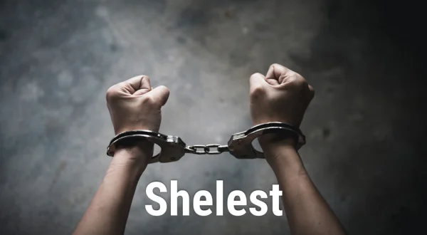 Shelest