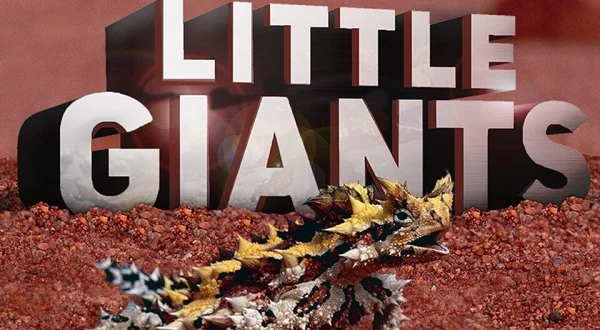 Little Giants