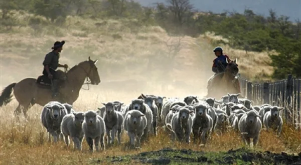 El sentir patagónico