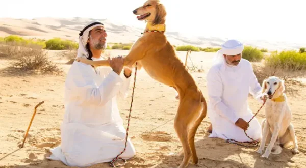La vita segreta dei cani