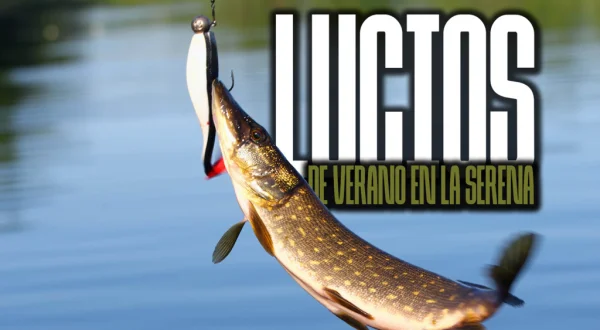 Lucios De Verano En Santillana