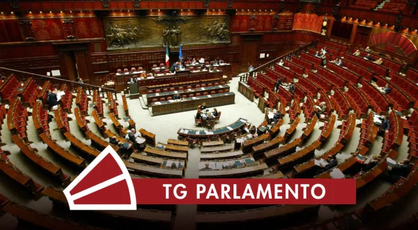 Tg Parlamento