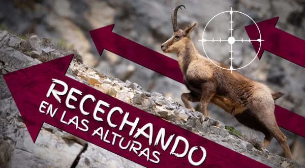 Recechando en Las Alturas