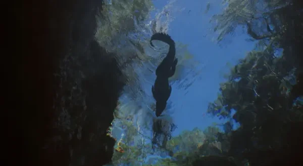 Krokodile der Karibik