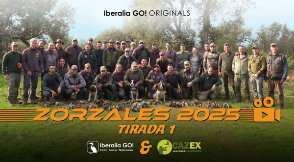 Zorzales entre jaras y monte