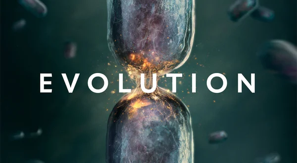 Evolution