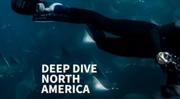 Kuzey Amerika'nın Derinlikleri