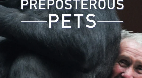 Preposterous Pets
