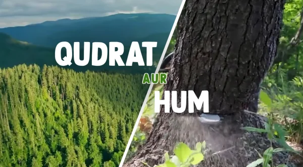 Qudrat aur Hum