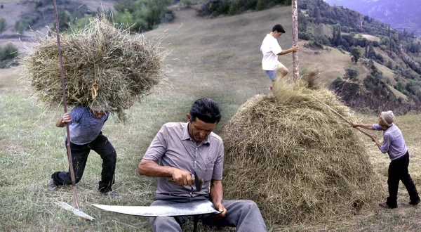 La hierba en el Pirineo. Corte, transporte y almacenamiento tradicional para el invierno
