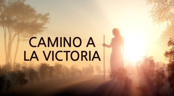Camino a la victoria