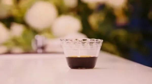 Dining with the Chef Mini