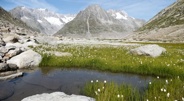 Det vilde Schweiz