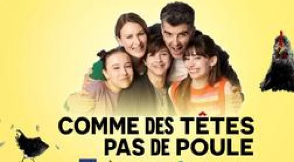 Comme des têtes pas de poule