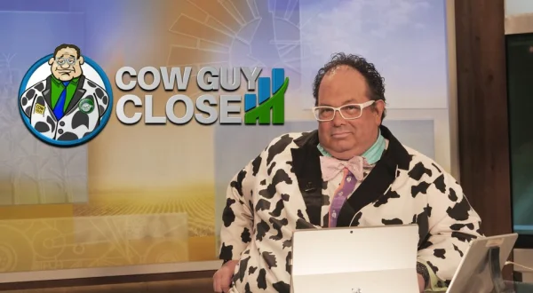 Live: Cow Guy Close