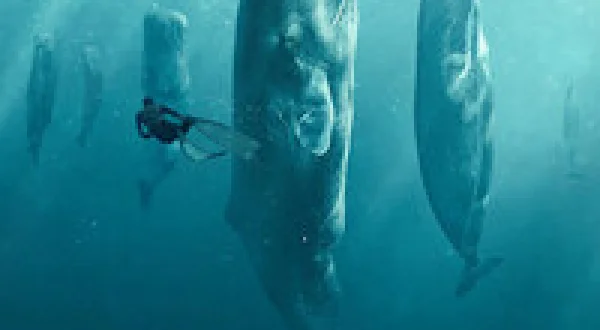 Whale with Steve Backshall