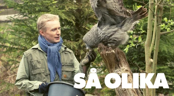 Så ulike
