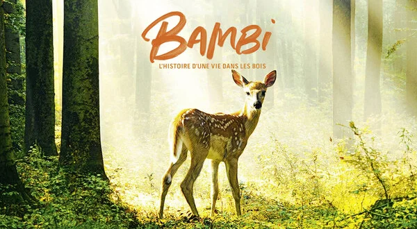 Bambi, l'histoire d'une vie dans les bois
