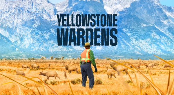 Yellowstone Wardens