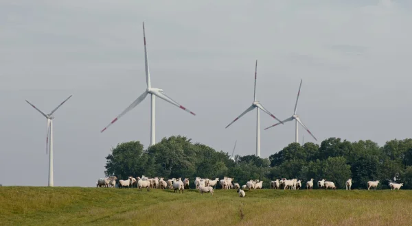 Hrana, energija, voda