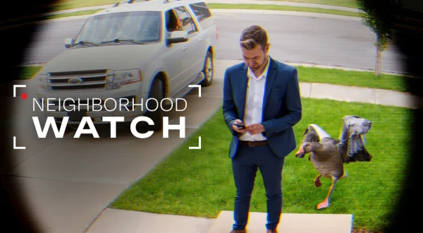 Neighborhood Watch