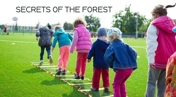 Secrets Of The Forest