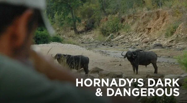 Hornady's Dark and Dangerous