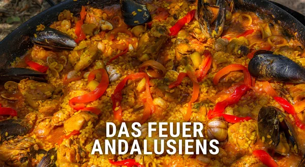 Das Feuer Andalusiens