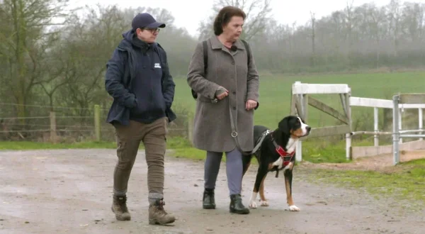 Der Hundeprofi - Rütters Team