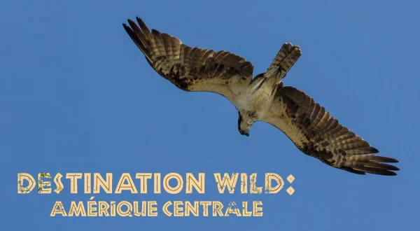 Destination Wild : Amérique centrale