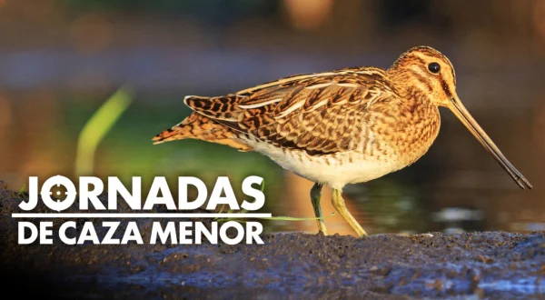 Jornadas de caza menor