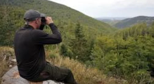 Le mystère des grands cerfs de Lozère