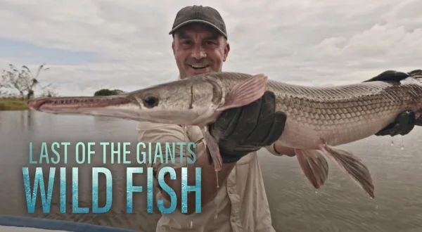 Last of the Giants: Wild Fish