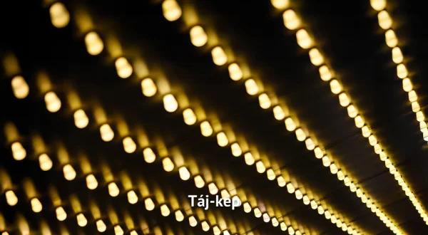 Táj-kép
