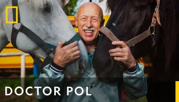 El increíble doctor Pol
