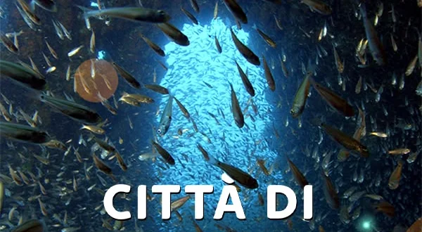 Citta' di corallo