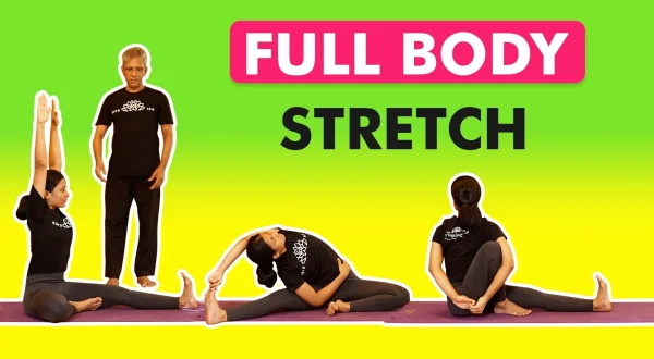 Full Body Stretch