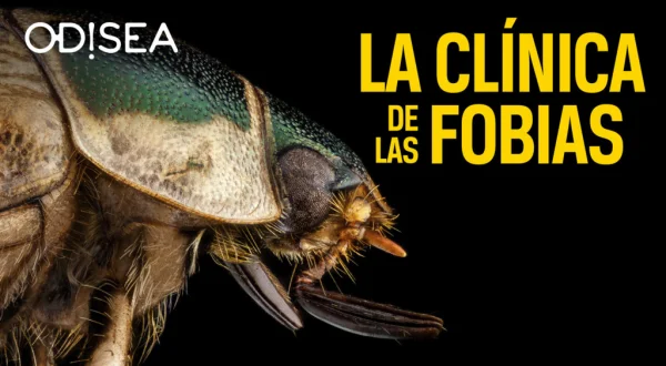 La clínica de las fobias