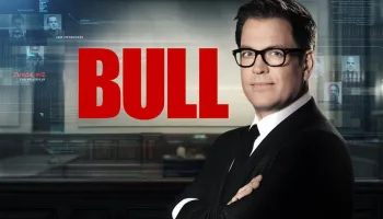 Bull