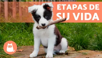 Nuestros expertos te informan