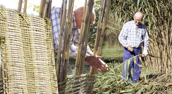 El cañicero. Técnicas y herramientas para trenzar cañas y construir cañizos a mano