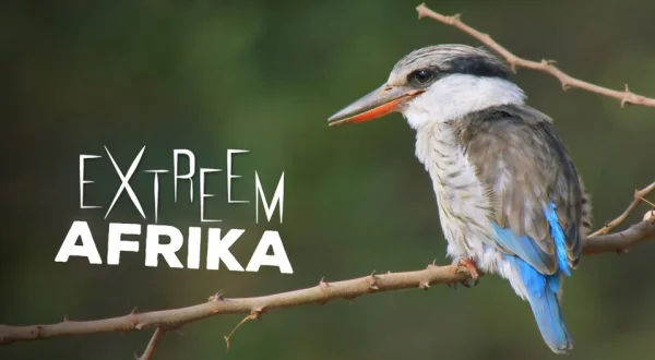 Extreem Afrika