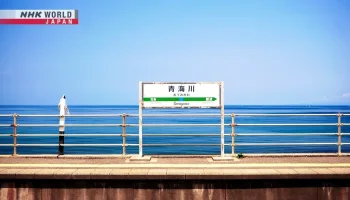 Train Cruise