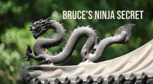 Bruce's Ninja Secret