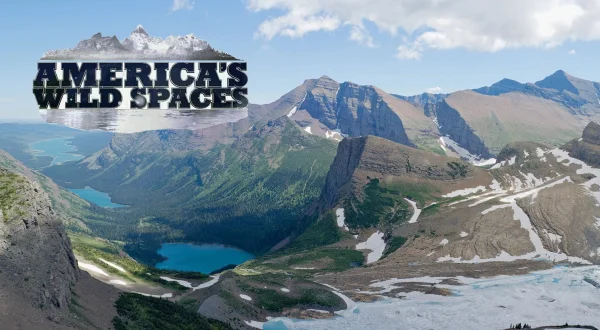 America's Wild Spaces