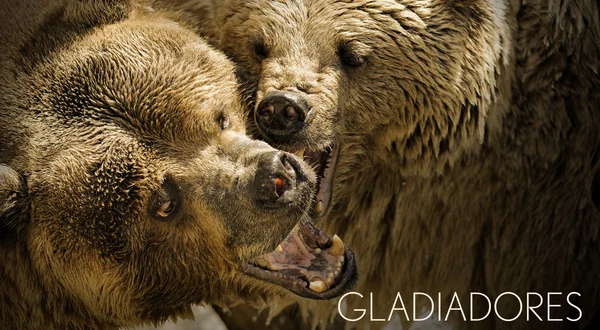 Gladiadores