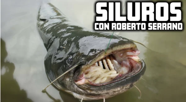 Siluros Con Roberto Serrano