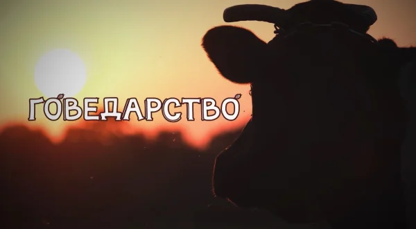 Govedarstvo